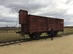 vlak na rampě v Osvětimi
