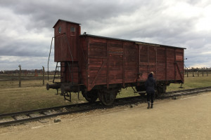 vlaky, které přivážely vězně do Birkenau