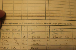 dokumenty z okolí Terezína