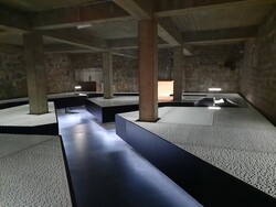 123543217_1244809252569284_2895682314723774960_n