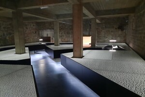 123543217_1244809252569284_2895682314723774960_n