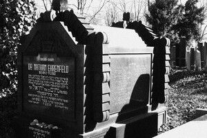 Nový židovský hřbitov