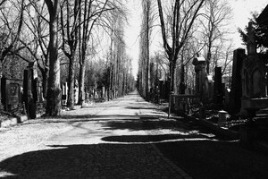 Nový židovský hřbitov