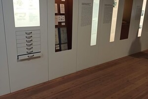 247419489_402921441288856_2358729768241359859_n