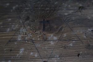 nálezy ve sklepení pod komandaturou SS