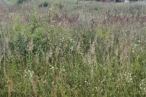 vyhlazovací tábor Sobibor