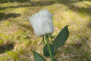 vyhlazovací tábor Sobibor