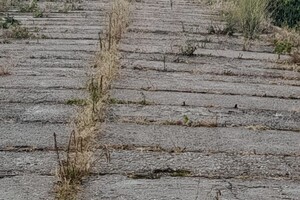 295141222_10225128888881889_3406883735899145885_n