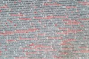 jména zavražděných v Pinkasově synagoze