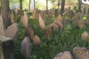 Źidovský hřbitov