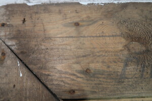 nálezy ve sklepení pod komandaturou SS