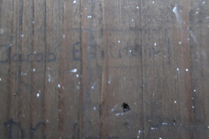 nálezy ve sklepení pod komandaturou SS