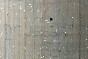 nálezy ve sklepení pod komandaturou SS