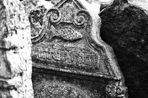 53340159_1916282191816556_822115727535243264_n