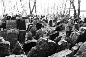 55726368_1916282061816569_7572993478561366016_n