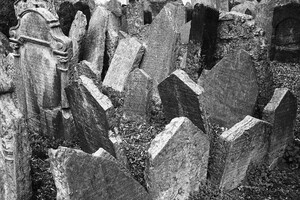 55881980_1916281671816608_472566335226773504_n