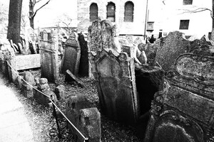 55897233_1916282115149897_5457107724569411584_n