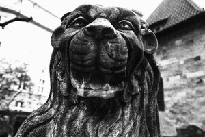 Starý židovský hřbitov