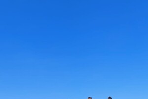 IMG-20220327-WA0053 - kopie (2)