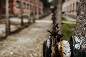 IMG-20221002-WA0088 - kopie - kopie