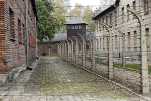 IMG-20221016-WA0014(1)