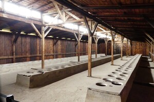 IMG-20221016-WA0022(1)