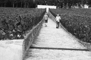 vyhlazovací tábor Belzec