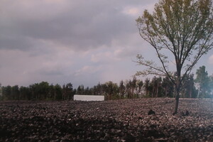 vyhlazovací tábor Belzec