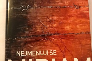 pruvodceterezin - knihy