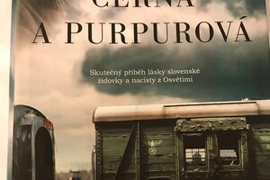 pruvodceterezin - knihy