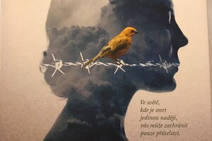 pruvodceterezin - knihy