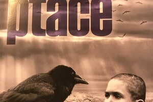 pruvodceterezin - knihy