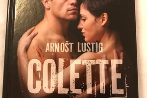 pruvodceterezin - knihy