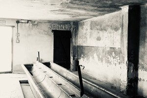 Prohlídka Osvětimi