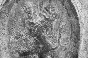 pražský židovský hřbitov