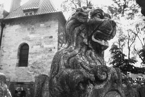 alter jüdischer Friedhof