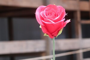 IV.dvůr na Malé pevnosti