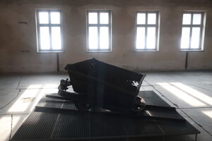 Prohlídka Osvětimi