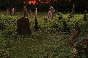 kolínský židovský hřbitov