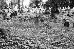 kolínský židovský hřbitov