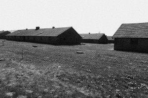 Osvětim-Birkenau