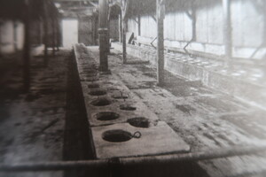 Prohlídka Osvětimi