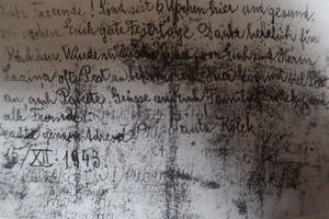 Prohlídka Osvětimi