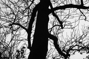 židovský hřbitov Libochovice