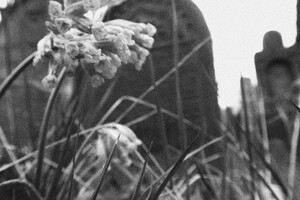 židovský hřbitov Libochovice