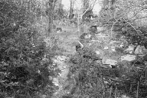 židovský hřbitov Libochovice