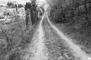 židovský hřbitov Libochovice