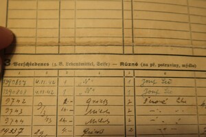 dokumenty z okolí Terezína