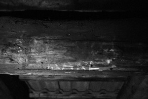 Lukáš Lev průvodce Terezín