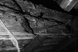 Lukáš Lev průvodce Terezín